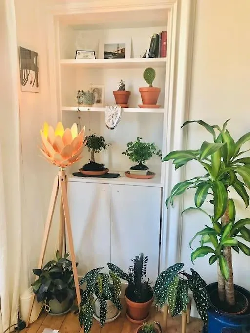 Cosy 2 Bedroom Flat In Edinburgh